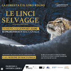 CAI Macugnaga: Le linci selvagge, la Foresta è il loro Regno - Film di Laurent Geslin